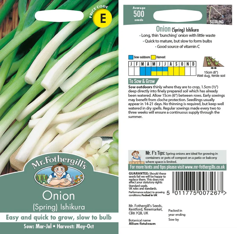 Onion (Green) Ishikura - Mr. Fothergill's Seeds - Image 2