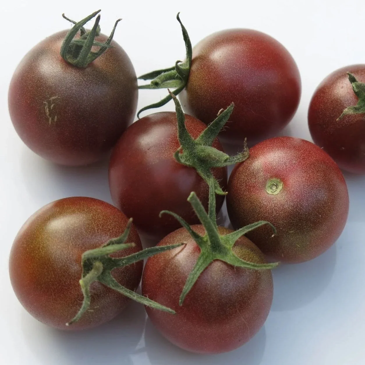 Organic Tomato Black Cherry - Metchosin Farm Seeds