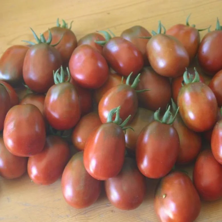 Organic Tomato Black Plum - Metchosin Farm Seeds