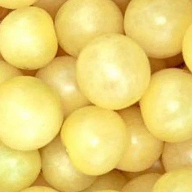 Organic Tomato White Cherry - Metchosin Farm Seeds