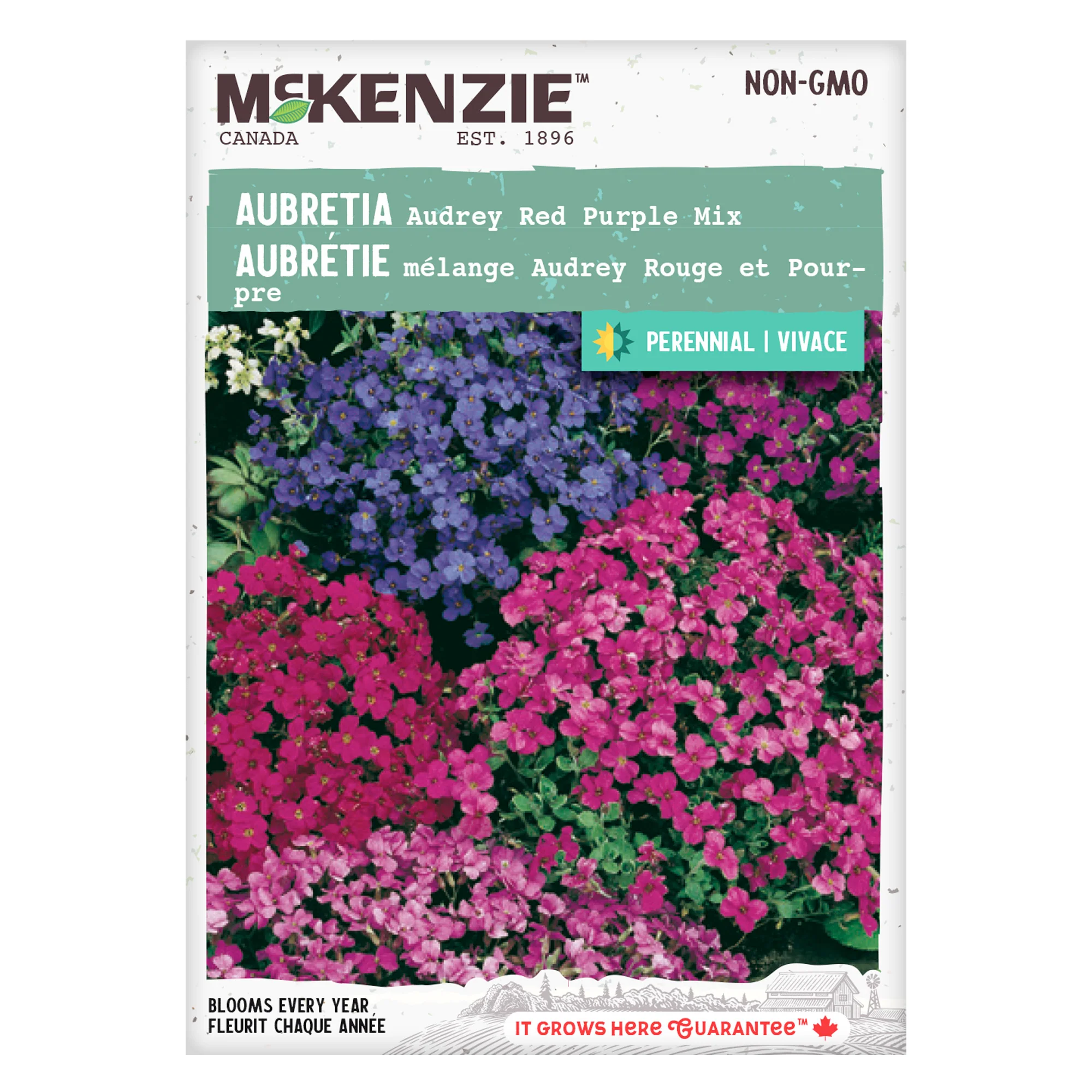 Aubrieta Audrey Red Purple Mix - McKenzie Seeds