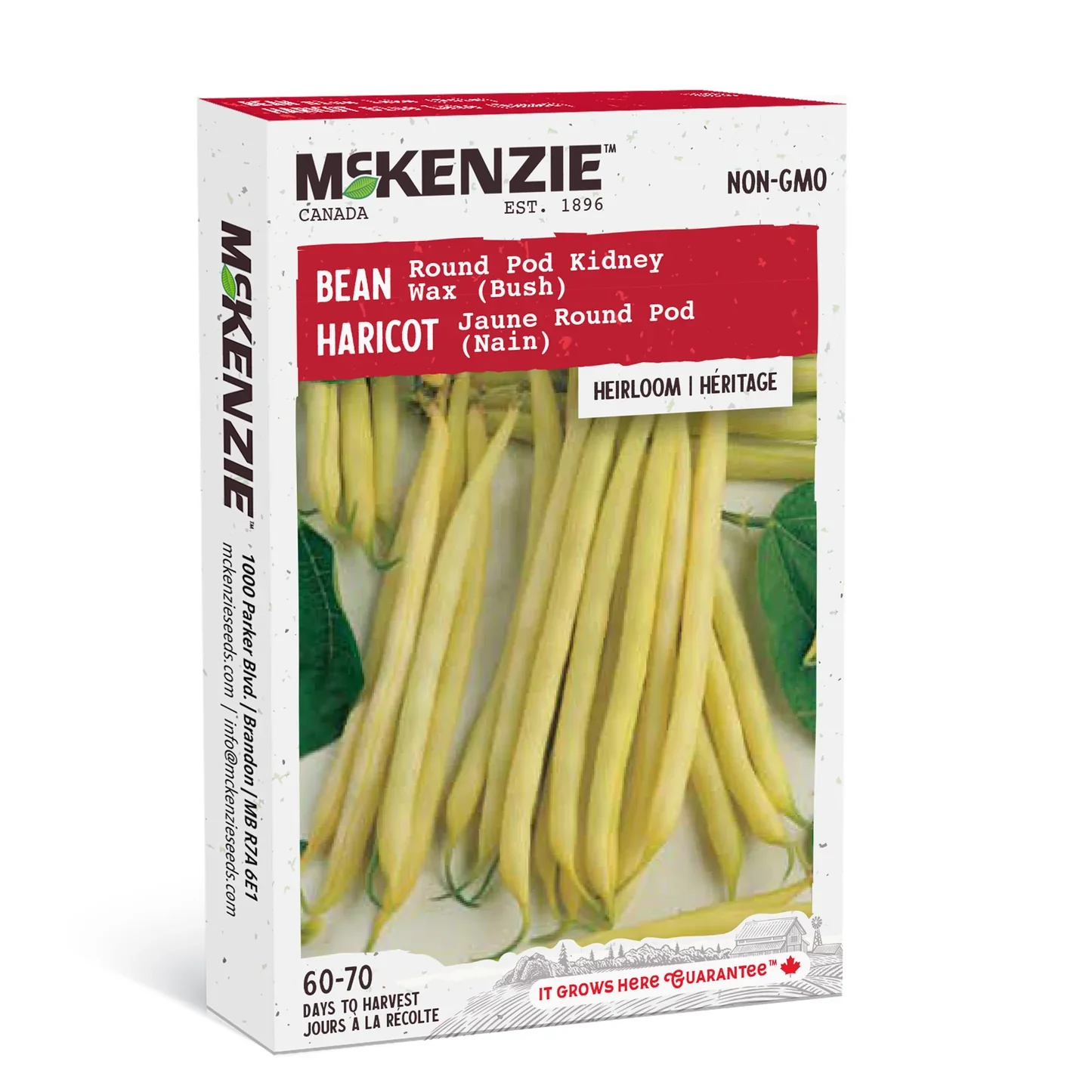 Bean Round Pod Kidney Wax Bush - McKenzie Seeds
