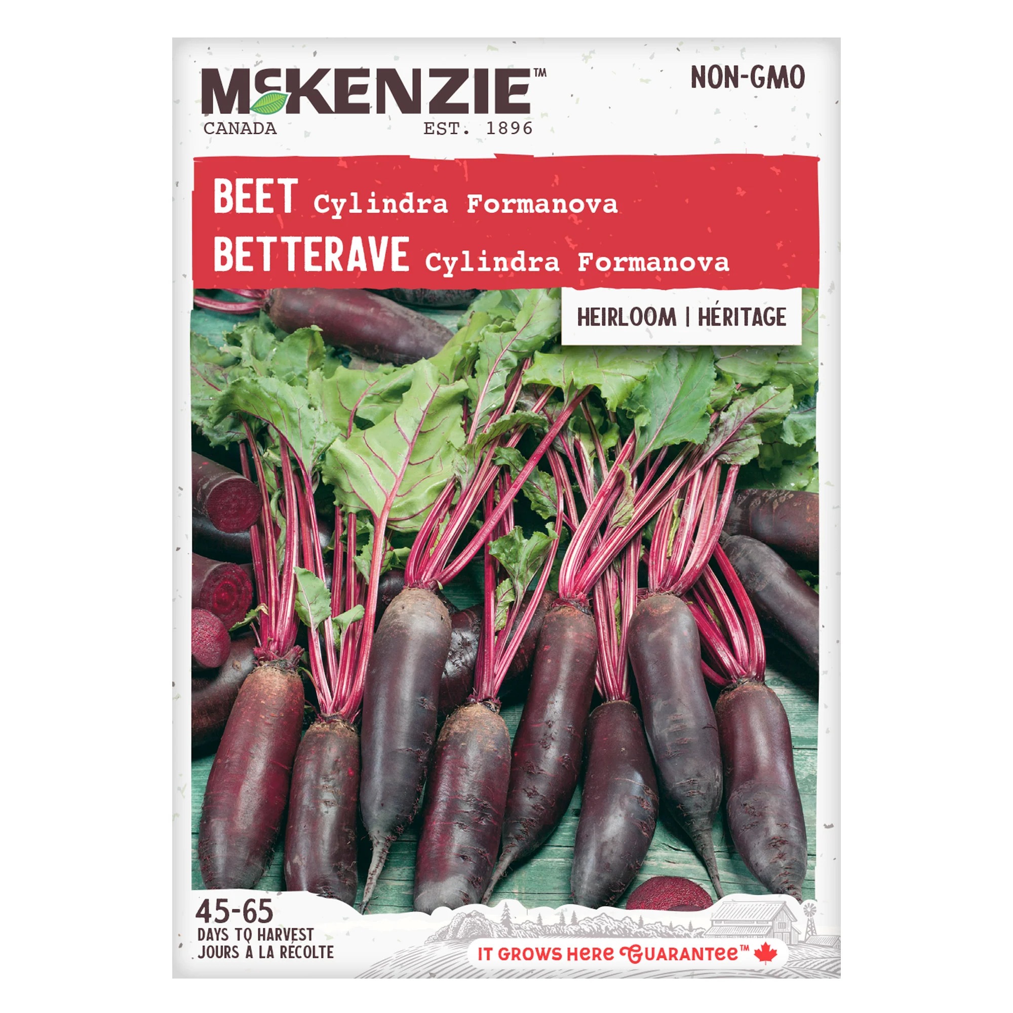 Beet Cylindra Formanova - McKenzie Seeds