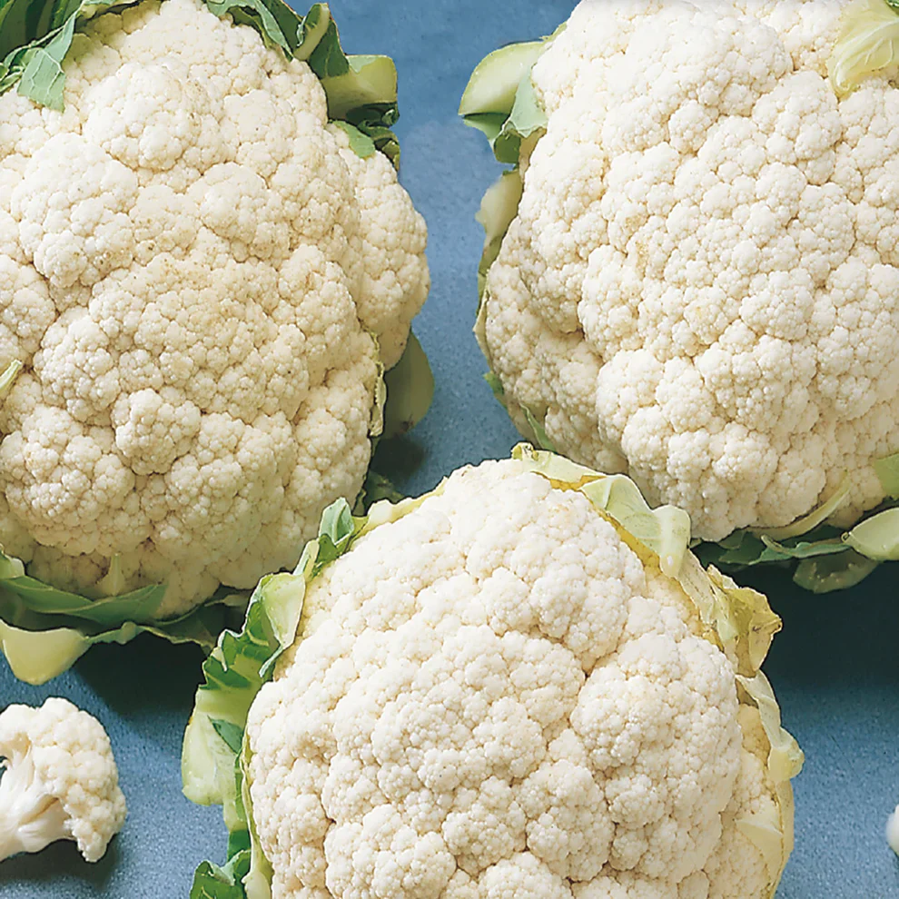 Cauliflower Early Snowball - McKenzie Seeds - Image 3