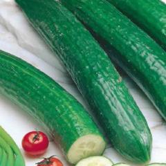 Cucumber English Long Telegraph - McKenzie Seeds - Image 2