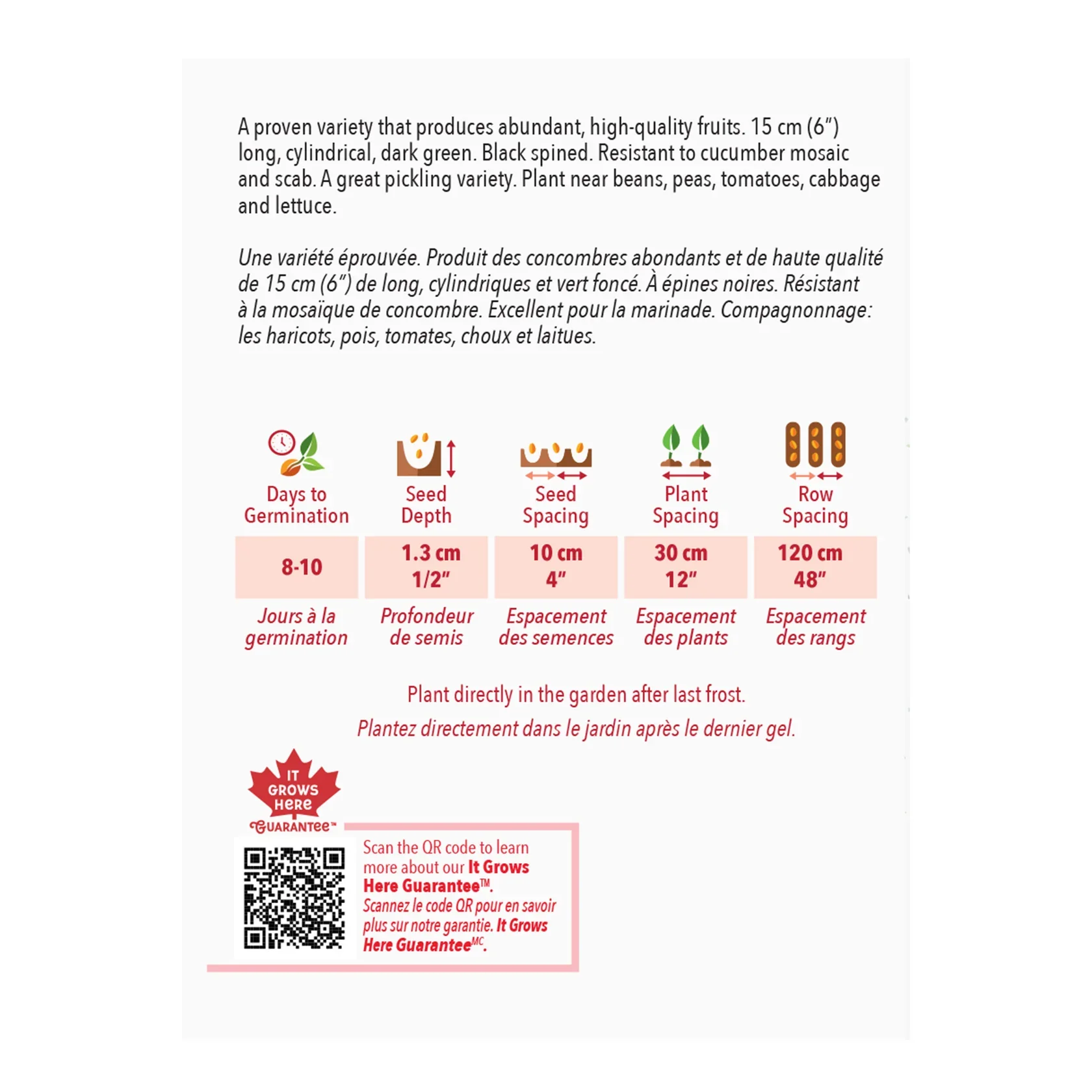 Cucumber National Pickling - McKenzie Seeds - Image 2