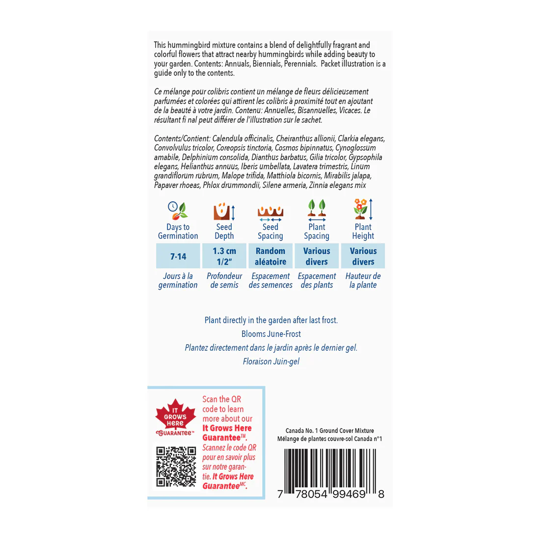 Hummingbird Garden Jumbo Pack - McKenzie Seeds - Image 2