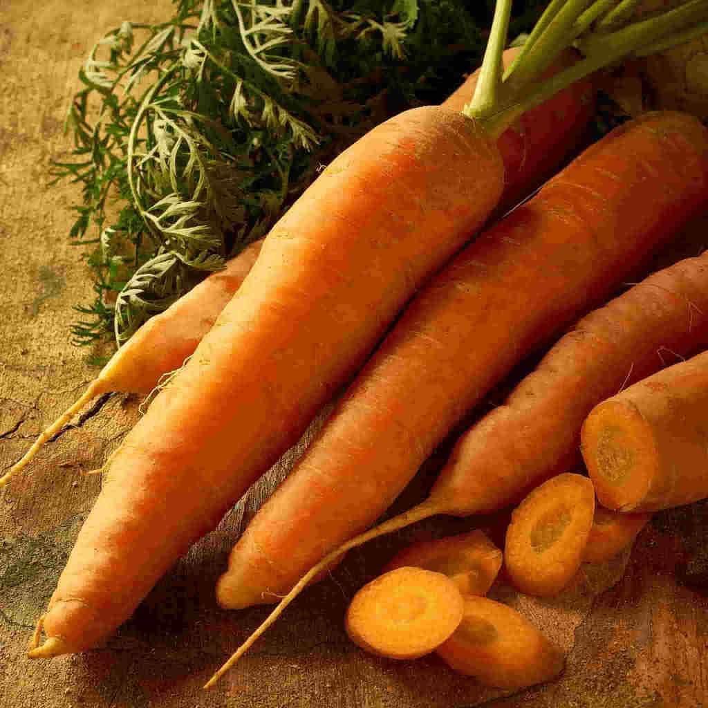 Carrot Scarlet Nantes Jumbo Pack - McKenzie Seeds - Image 2