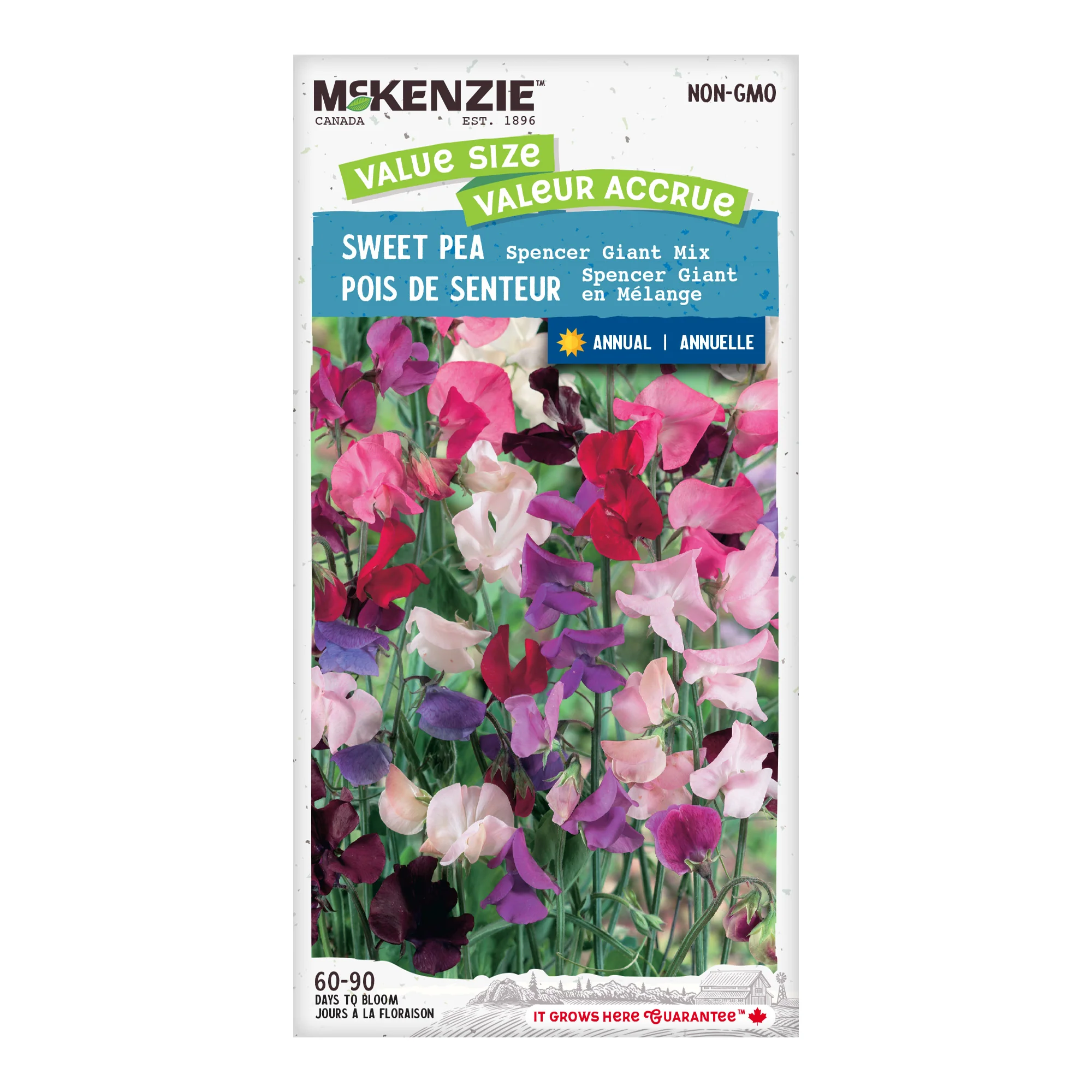 Sweet Pea Spencer Giant Mix Jumbo Pack - McKenzie Seeds