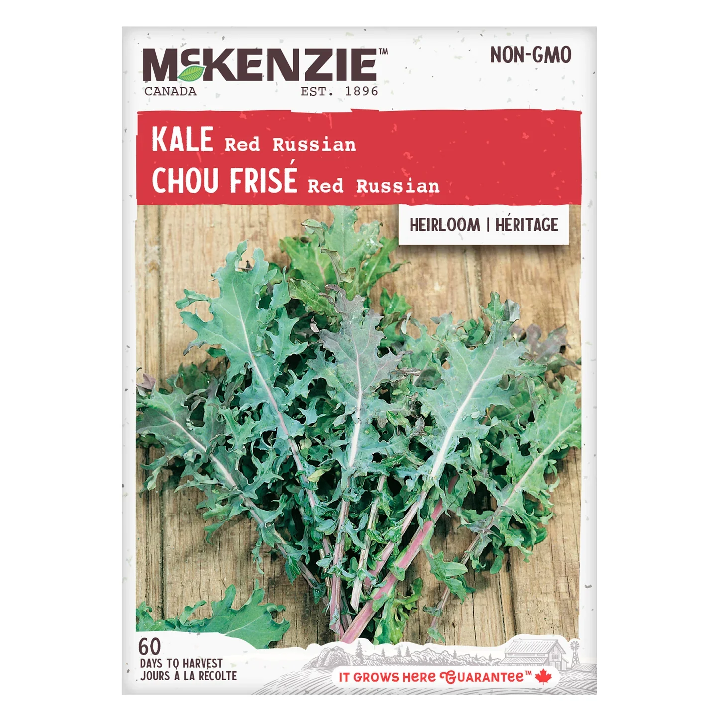 Kale Red Russian - McKenzie Seeds