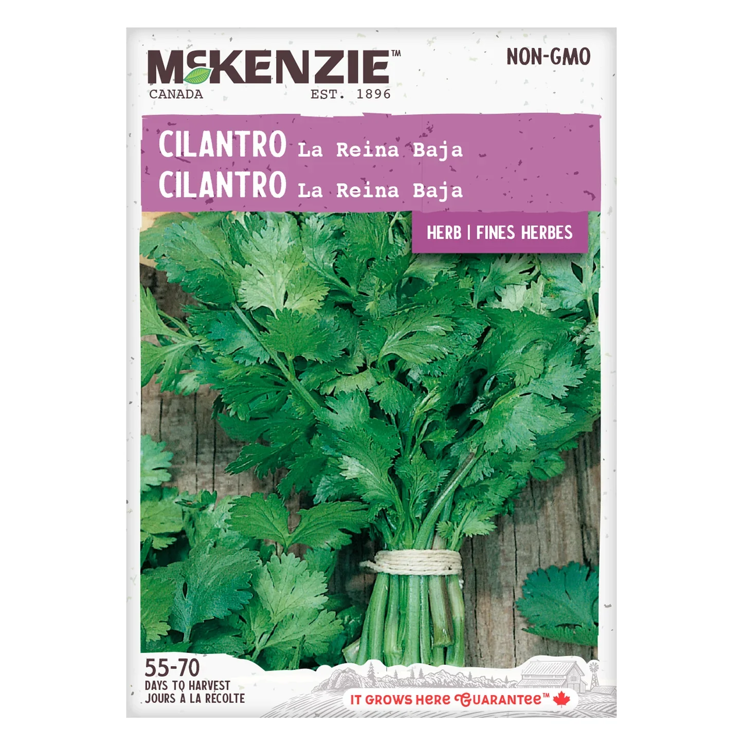 Cilantro Coriander La Reina Baja - McKenzie Seeds