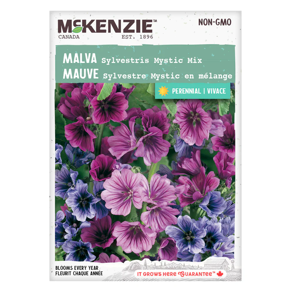 Malva Sylvestris Mystic Mixture - McKenzie Seeds