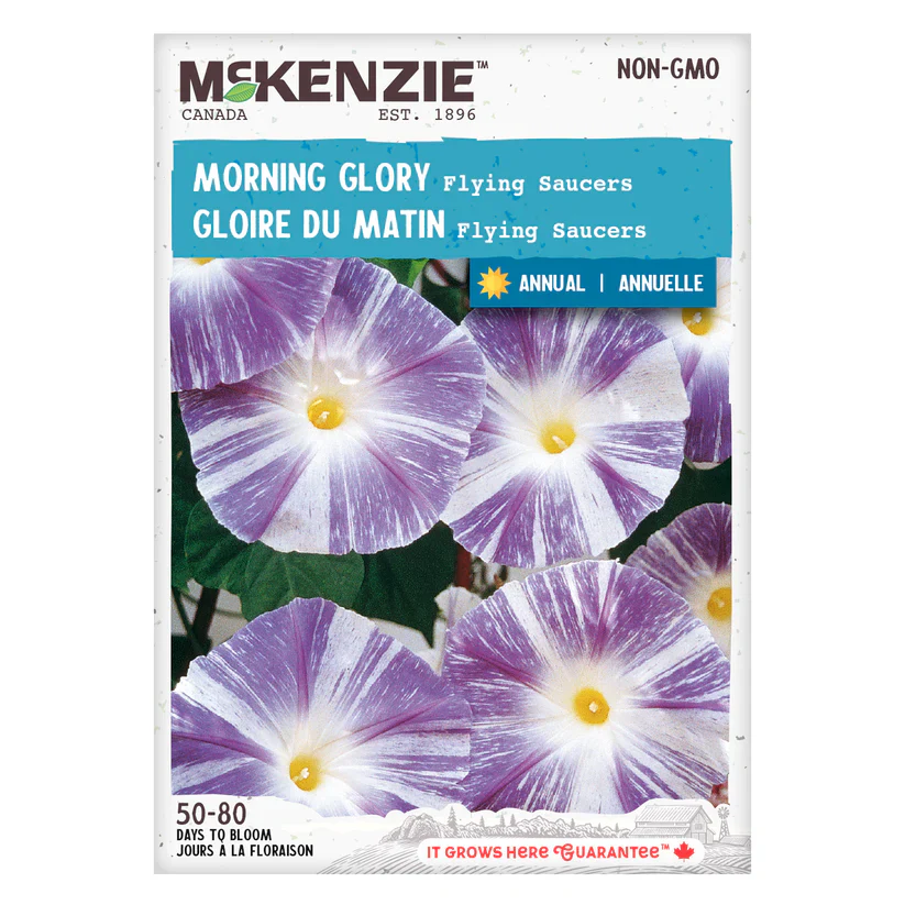 Morning Glory Flying Saucers - McKenzie Seeds