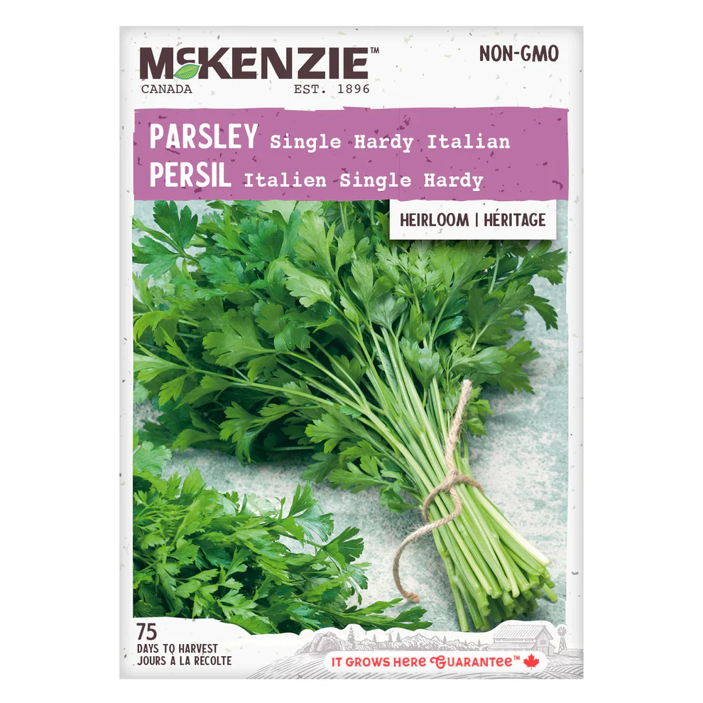 Parsley Single Hardy Italian - McKenzie Seeds