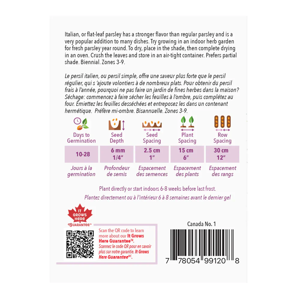 Parsley Single Hardy Italian - McKenzie Seeds - Image 2