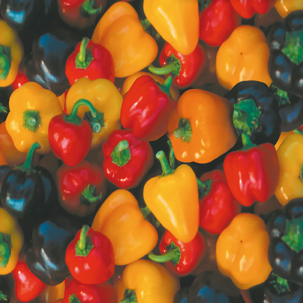Pepper Mini Bell Mix - McKenzie Seeds - Image 3