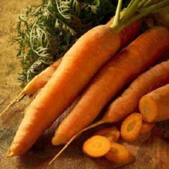 Carrot Scarlet Nantes, Seed Tape - McKenzie Seeds - Image 3