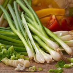 Onion White Lisbon Bunching, Seed Tape - McKenzie Seeds - Image 3