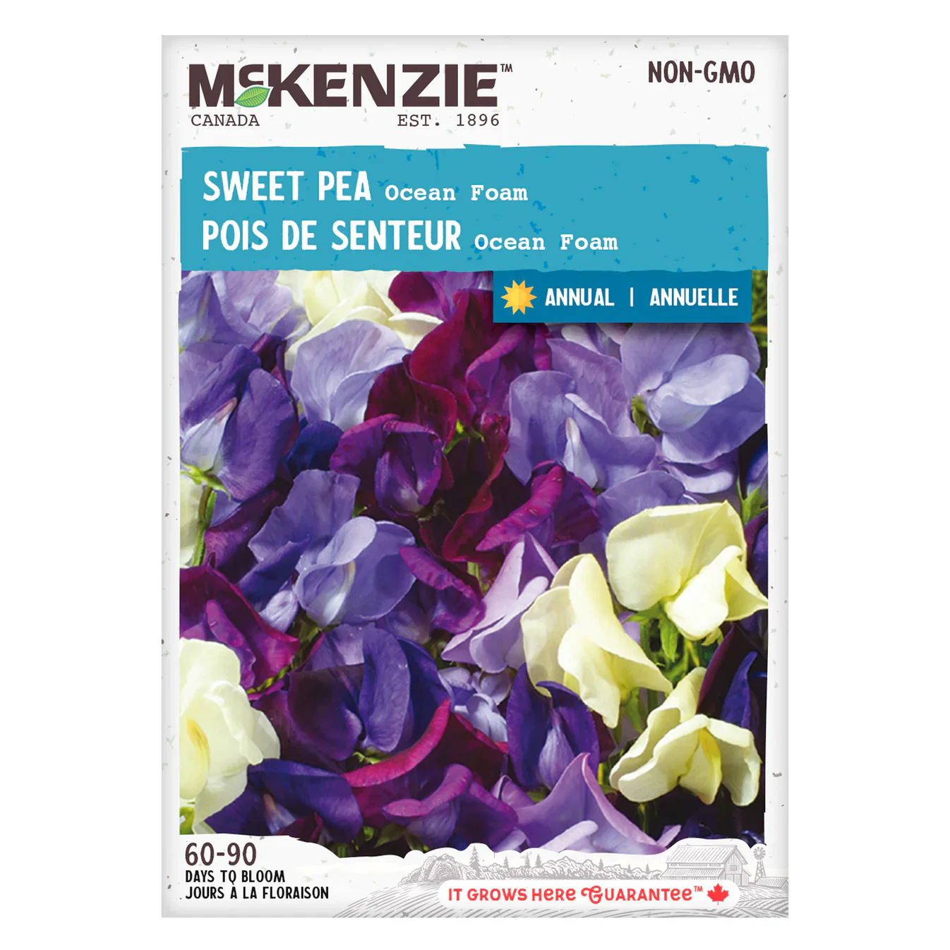 Sweet Pea Ocean Foam - McKenzie Seeds