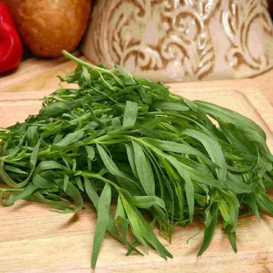Tarragon Russian - McKenzie Seeds - Image 3