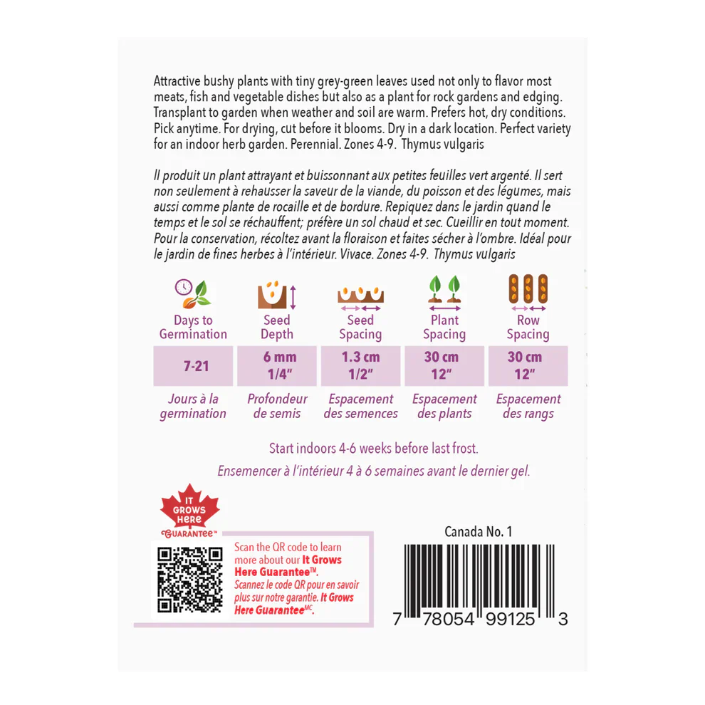 Thyme - McKenzie Seeds - Image 2