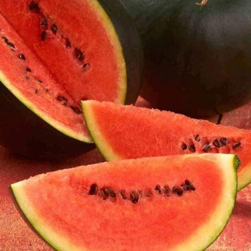 Watermelon Sugar Baby - McKenzie Seeds - Image 3