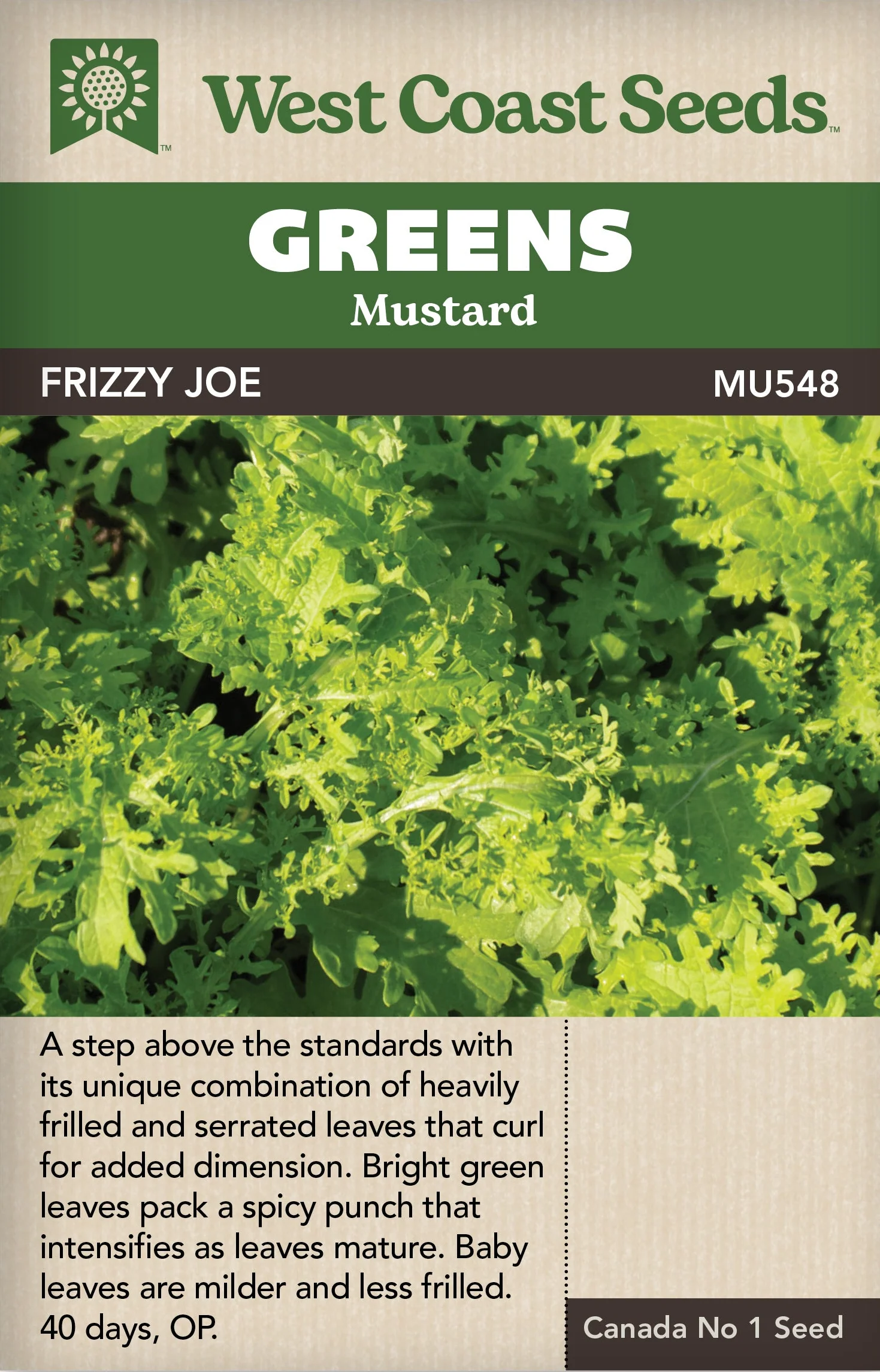 Mustard Greens Frizzy Joe - West Coast Seeds