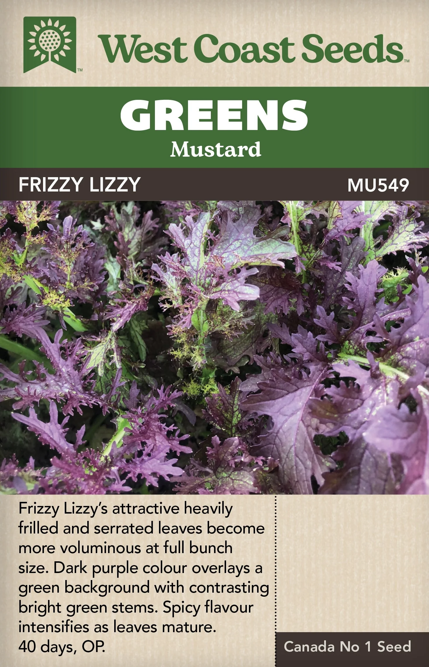 Mustard Greens Frizzy Lizzy - West Coast Seeds