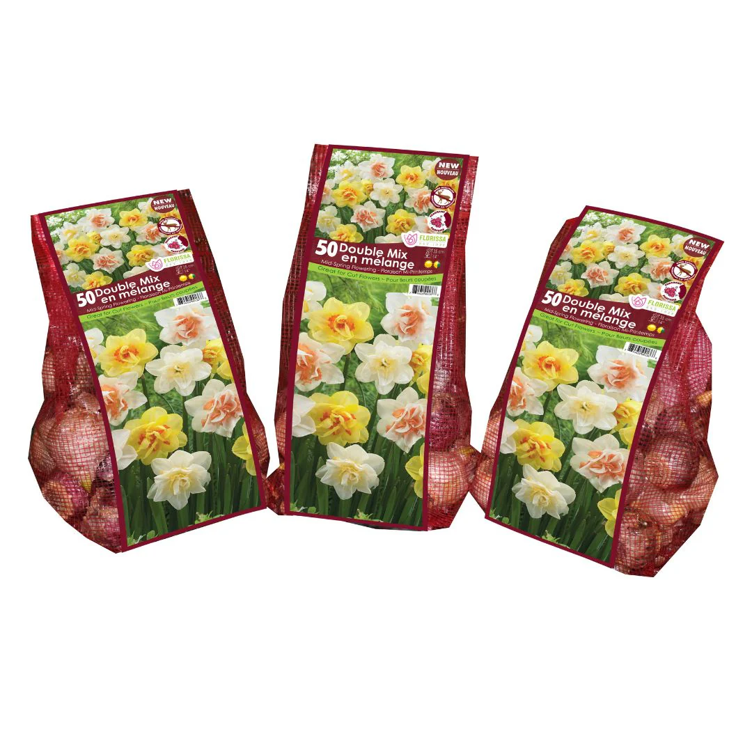 Narcissus, Double Mix - Mesh Bag 50 Pack - Image 3