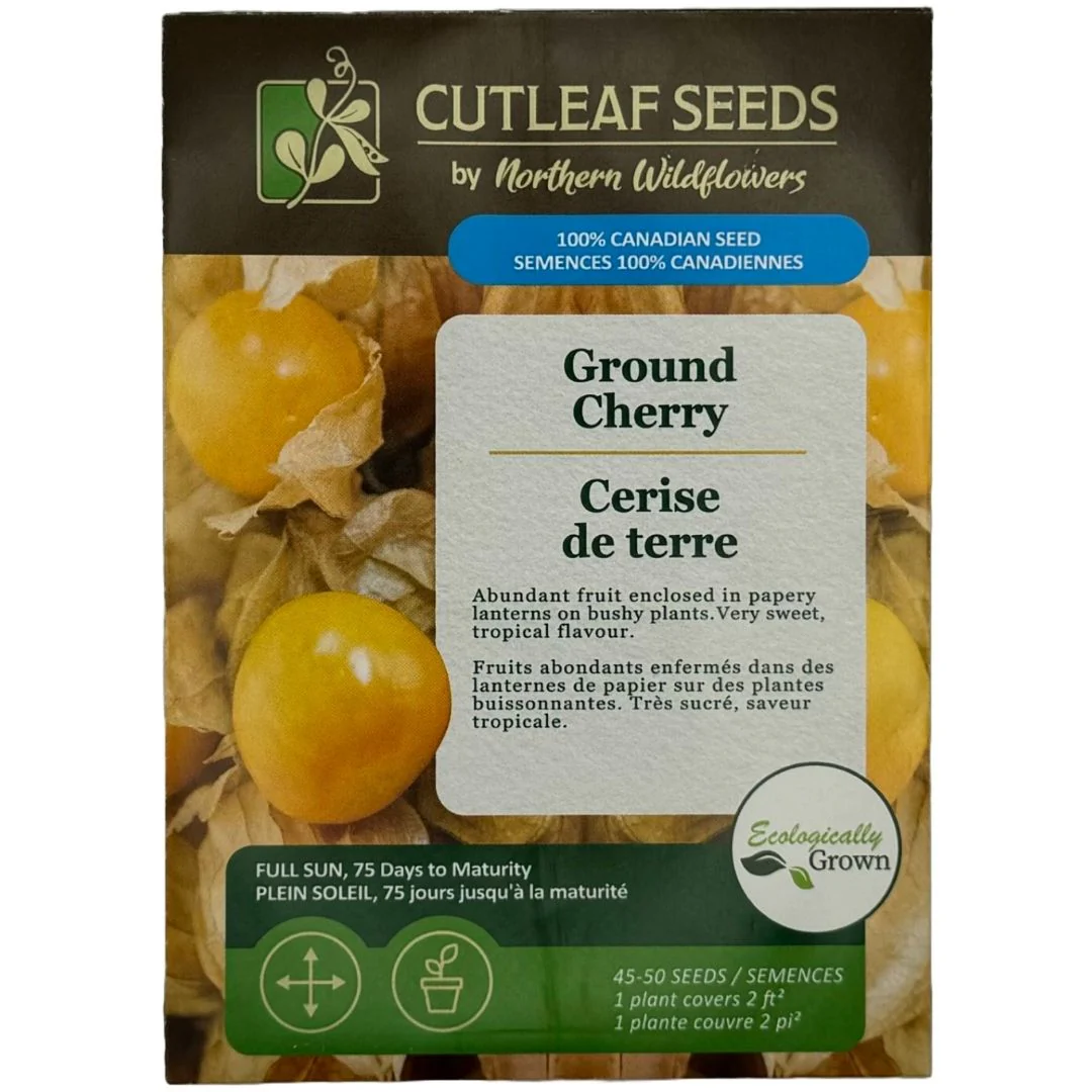 Ground Cherry - Northern Wildflowers