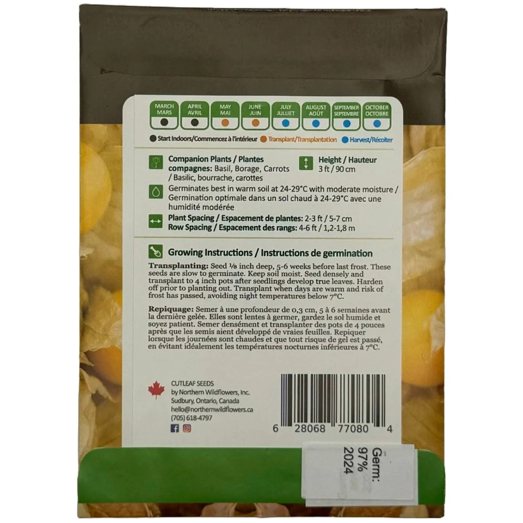 Ground Cherry - Northern Wildflowers - Image 2
