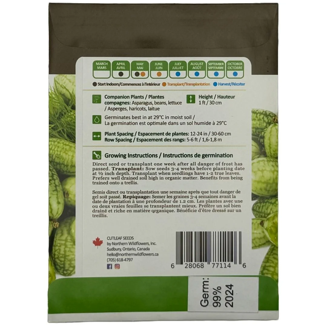 Mexican Sour Gherkin - Northern Wildflowers - Image 2