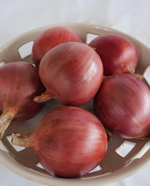 Onion Blush - West Coast Seeds - Image 3