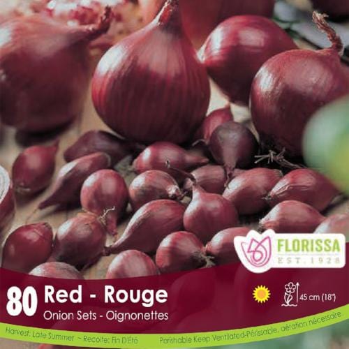 Onion - Red, 80 Pack