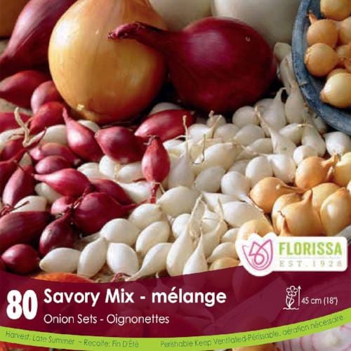 Onion - Savory Mix, 80 Pack