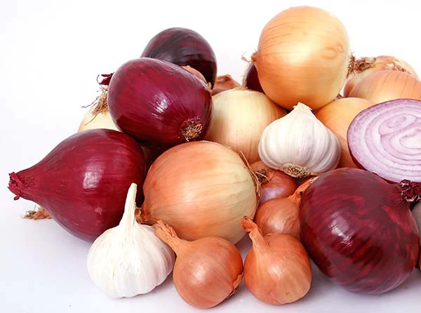 Onion - Savory Mix, 80 Pack - Image 2