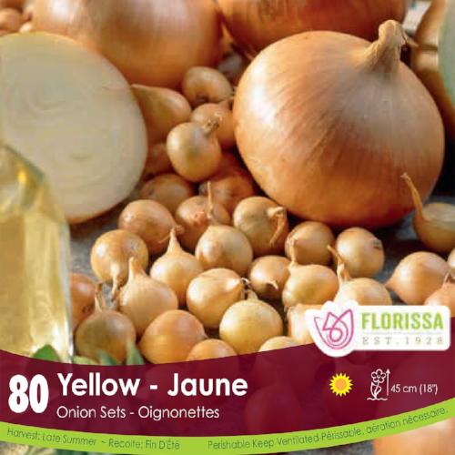 Onion - Yellow, 80 Pack