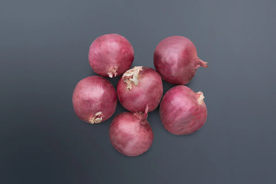 Onions Red Mountain - West Coast Seeds - Image 2