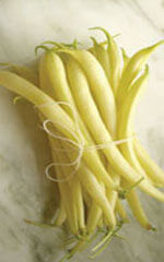 Bean Bush Golden Wax - Ontario Seed Company - Image 2
