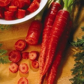 Carrot Atomic Red - Ontario Seed Company