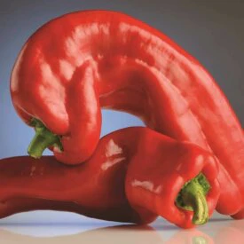 Pepper Marconi Rosso - Ontario Seed Company