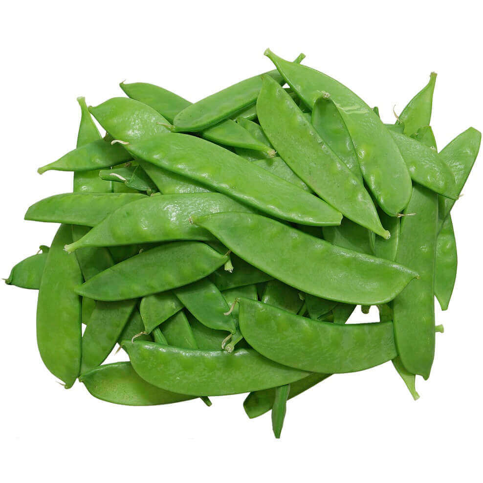 Pea Oregon Sugar Pod II Snow - Ontario Seed Company