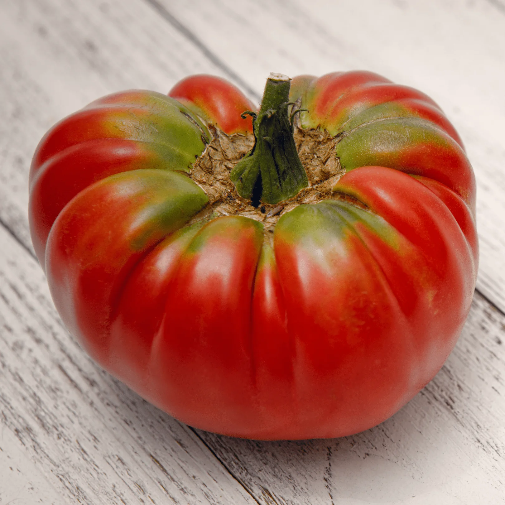 Tomato Old German - Ontario Seed Company - Image 2