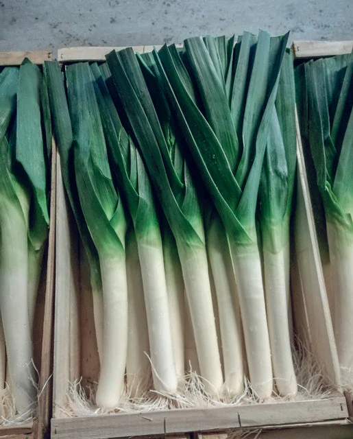 Leek Biker - West Coast Seeds - Image 2