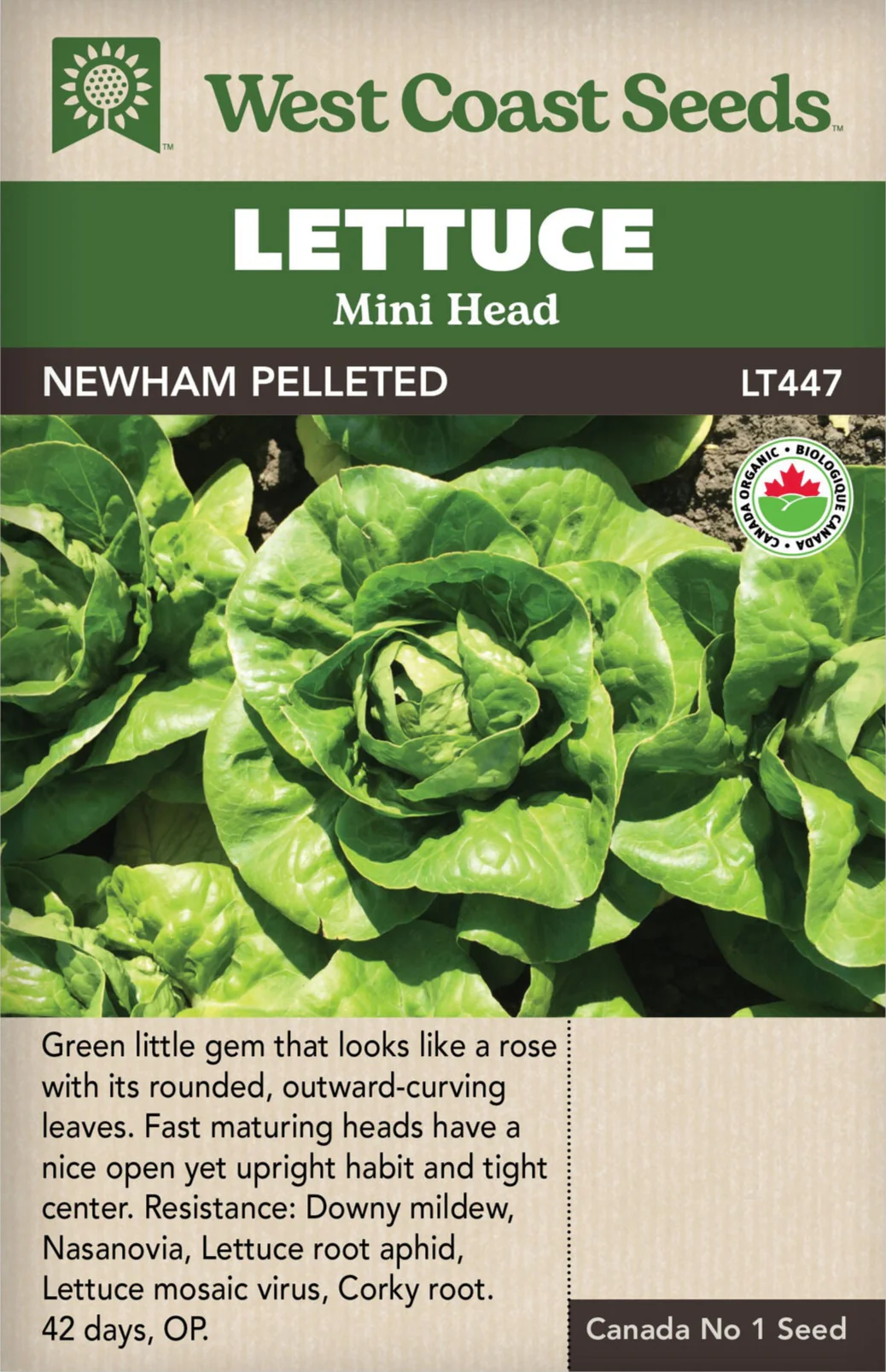 Organic Lettuce Newham Pelleted - West Coast Seeds