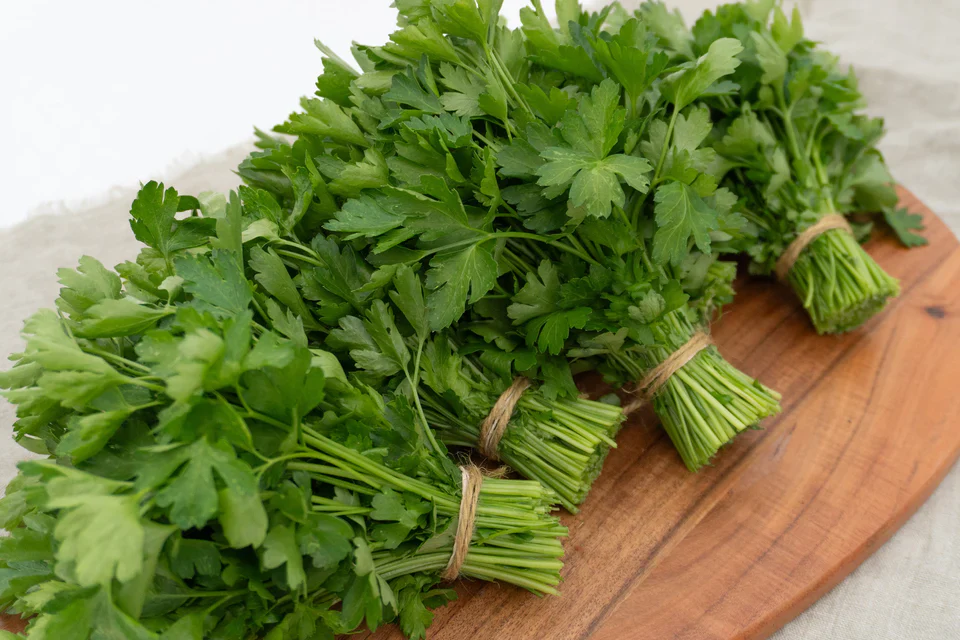 Organic Parsley Laica - West Coast Seeds - Image 2