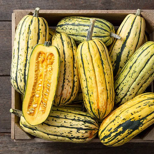 Organic Squash Bush Delicata - West Coast Seeds - Image 2