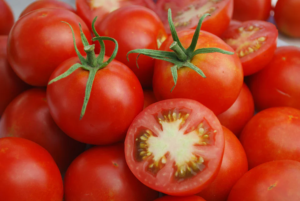 Organic Tomato Glacier - West Coast Seeds - Image 2