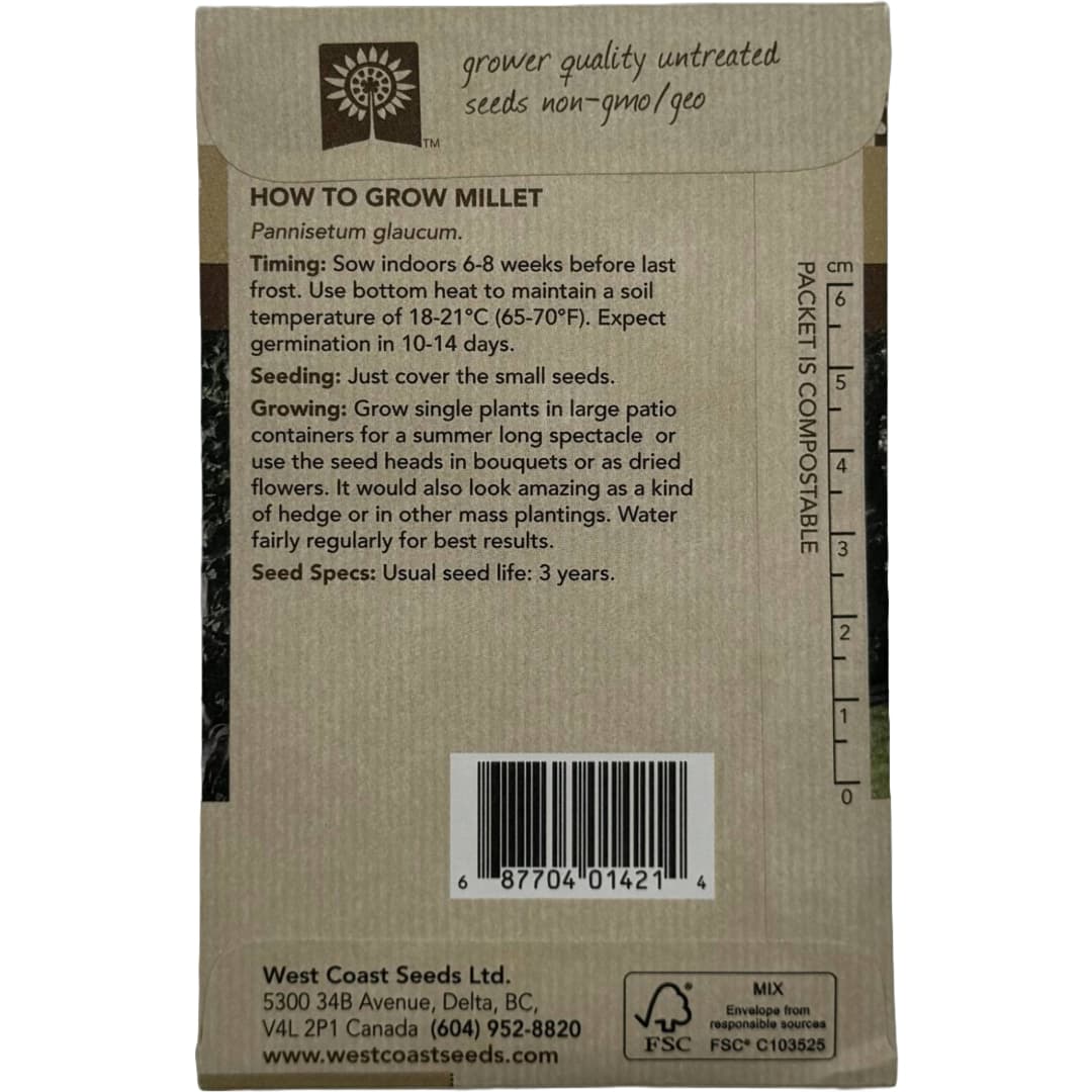 Ornamental Grass Purple Majesty - West Coast Seeds - Image 3
