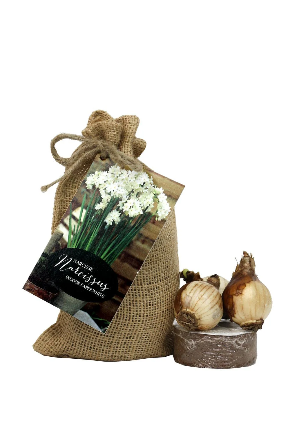 Narcissus - Paperwhite Nature's Bloom Gift - Image 2
